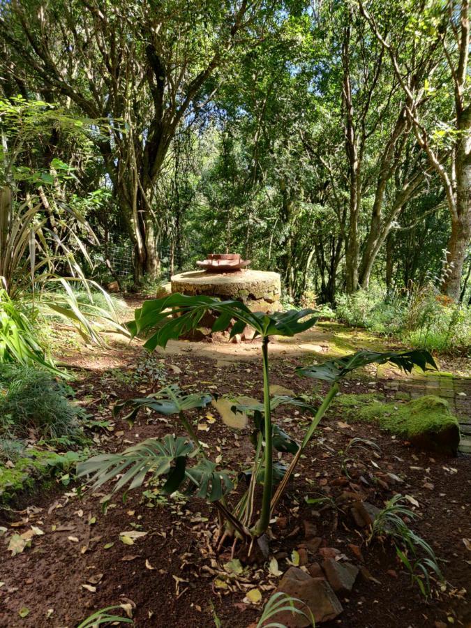 Old Pine Cabin Karkloof Karkloof Nature Reserve ภายนอก รูปภาพ