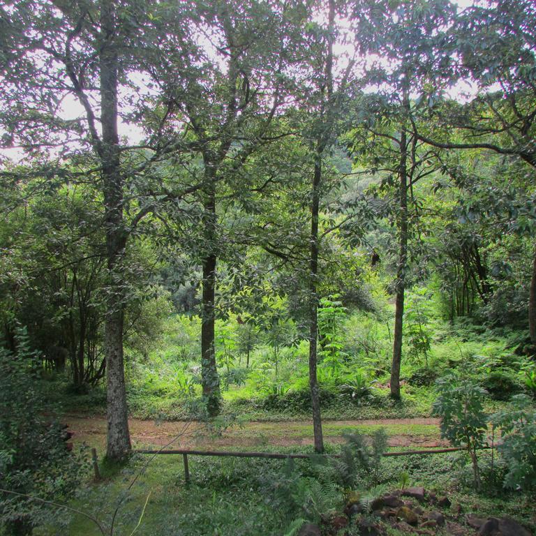 Old Pine Cabin Karkloof Karkloof Nature Reserve ภายนอก รูปภาพ